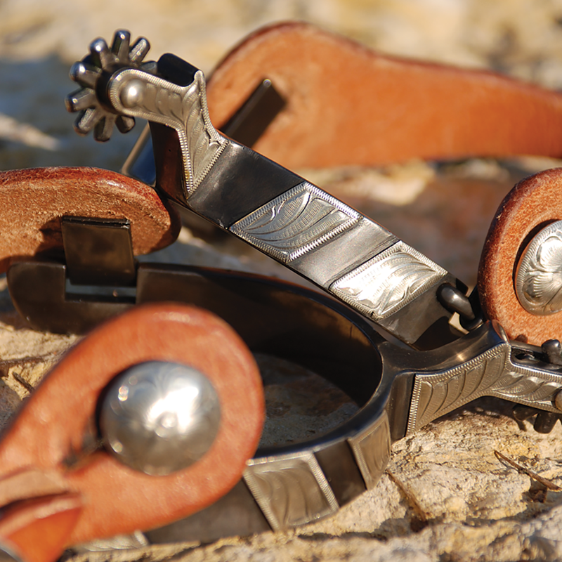 Load image into Gallery viewer, Classic Equine Cowboy Series Etched Spurs with Chap Guard

