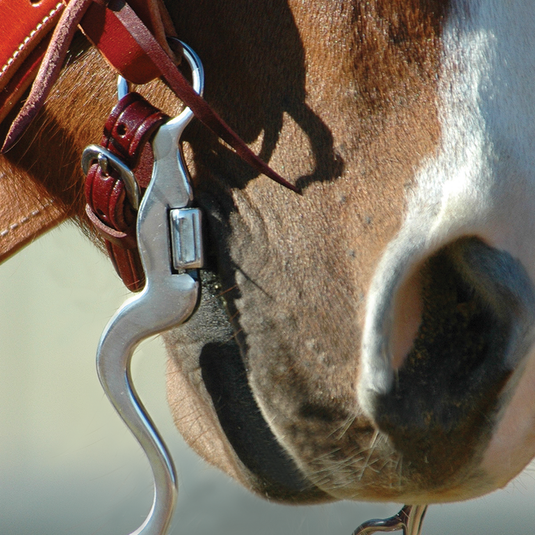 Classic Equine BitLogic Stainless Steel Cavalry Correction Bit