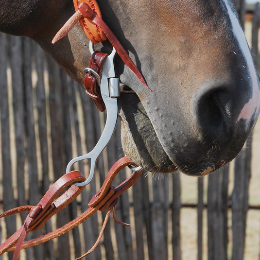 Classic Equine BitLogic Stainless Steel Dogbone Bit