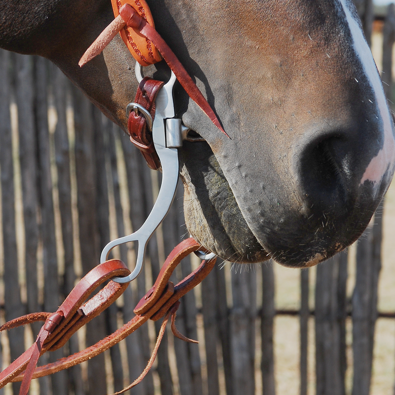Load image into Gallery viewer, Classic Equine BitLogic Stainless Steel Short Snaffle Bit

