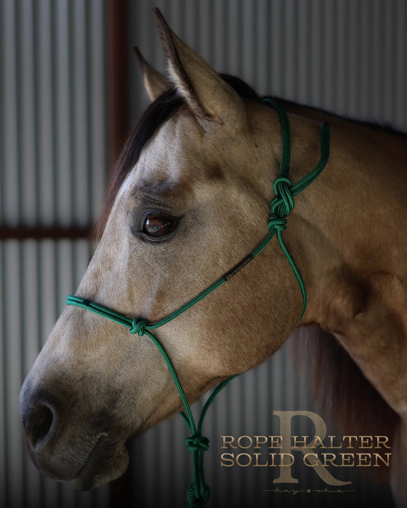 Load image into Gallery viewer, Redemption x Hay Chix Timeless Halter &amp; Lead Rope Set
