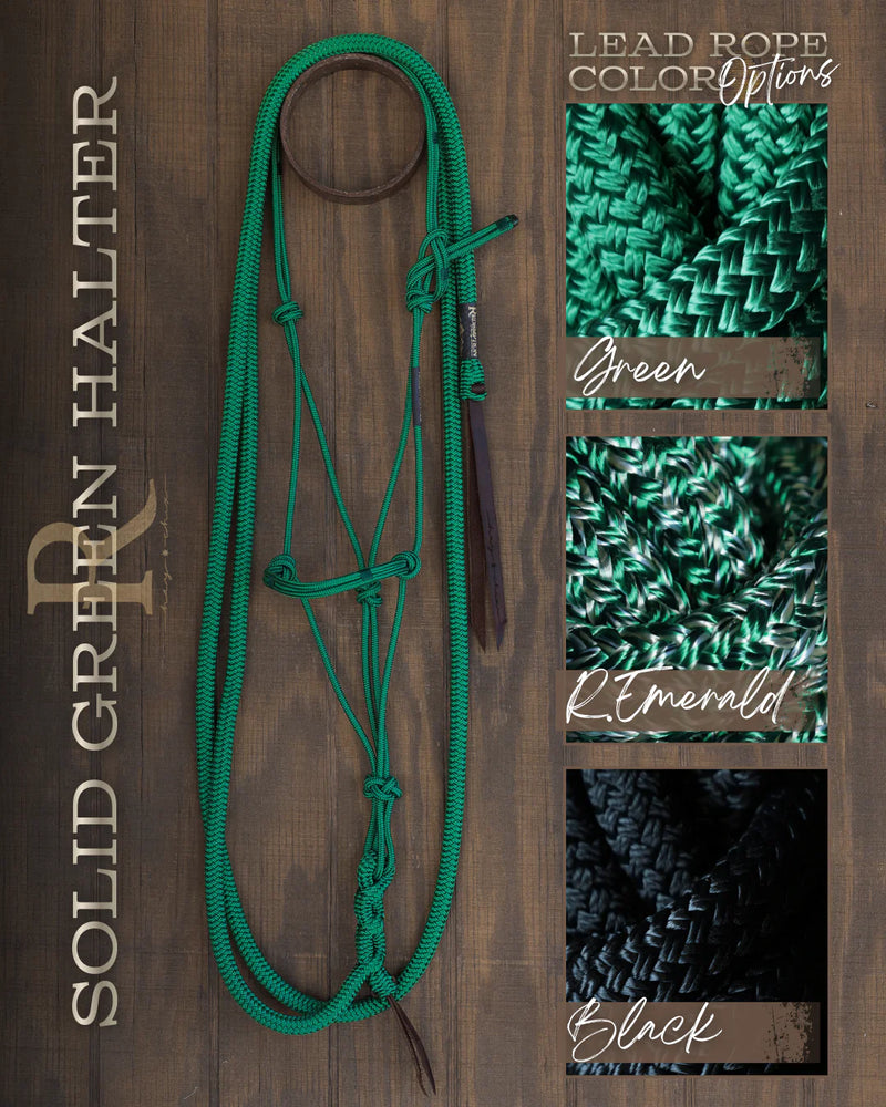 Load image into Gallery viewer, Redemption x Hay Chix Timeless Halter &amp; Lead Rope Set

