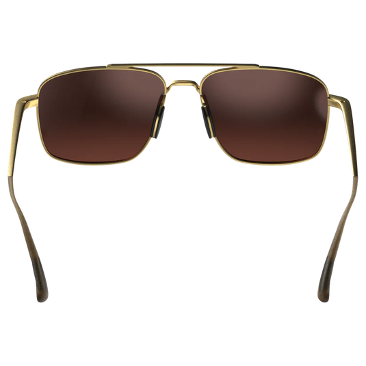 Bex Sunglasses Accel