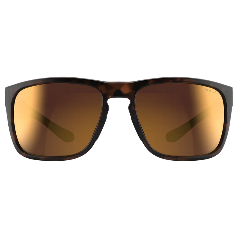 Load image into Gallery viewer, Bex Sunglasses Jaebyrd OTG
