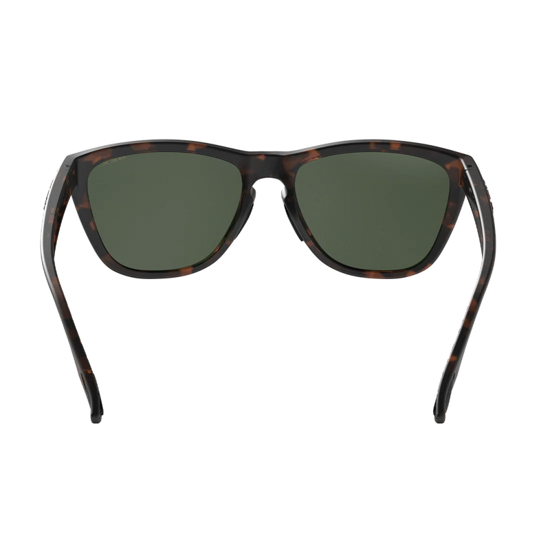 Load image into Gallery viewer, Bex Sunglasses Appy
