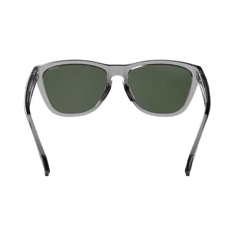 Load image into Gallery viewer, Bex Sunglasses Appy
