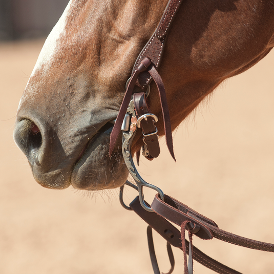Classic Equine BitLogic Browned Iron Correction Bit