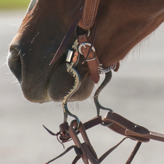 Classic Equine BitLogic Browned Iron Cavalry Ported Twisted Wire Bit