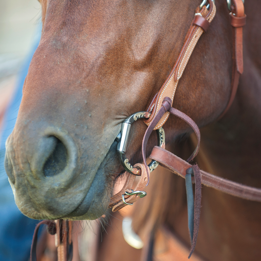 Classic Equine Tool Box Blued Iron D-Ring Smooth Snaffle Bit