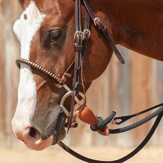 Classic Equine Tool Box Stainless Steel D-Ring Smooth Snaffle Bit