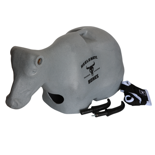 Smarty Rodeo | Bones