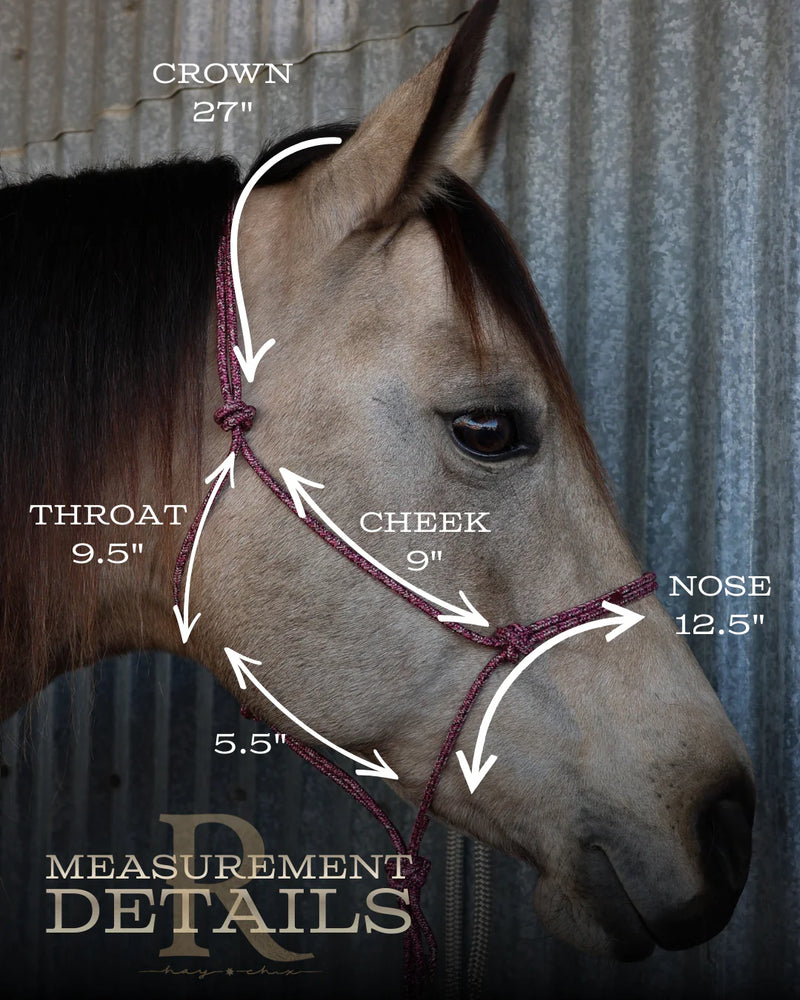 Load image into Gallery viewer, Redemption x Hay Chix Timeless Halter &amp; Lead Rope Set
