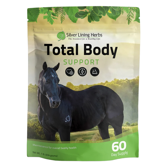 Silver Lining Total Body Support for Horses - 1 LB