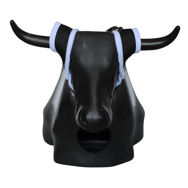 Load image into Gallery viewer, Smarty Rodeo | Bones
