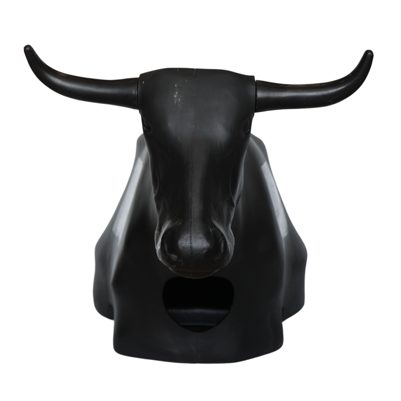 Load image into Gallery viewer, Smarty Rodeo | Bones
