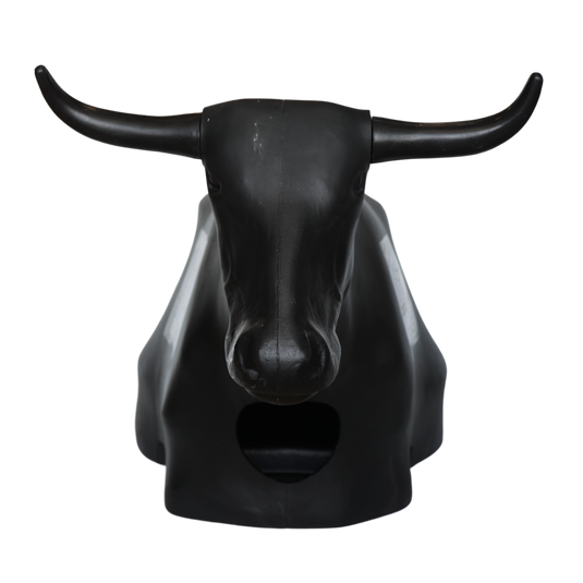 Smarty Rodeo | Bones