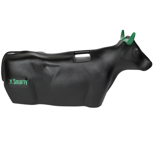 Smarty Rodeo | Sidekick