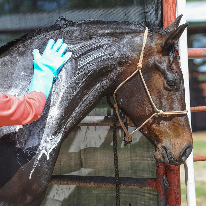 Load image into Gallery viewer, Classic Equine Wash Gloves
