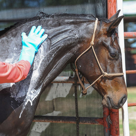 Classic Equine Wash Gloves