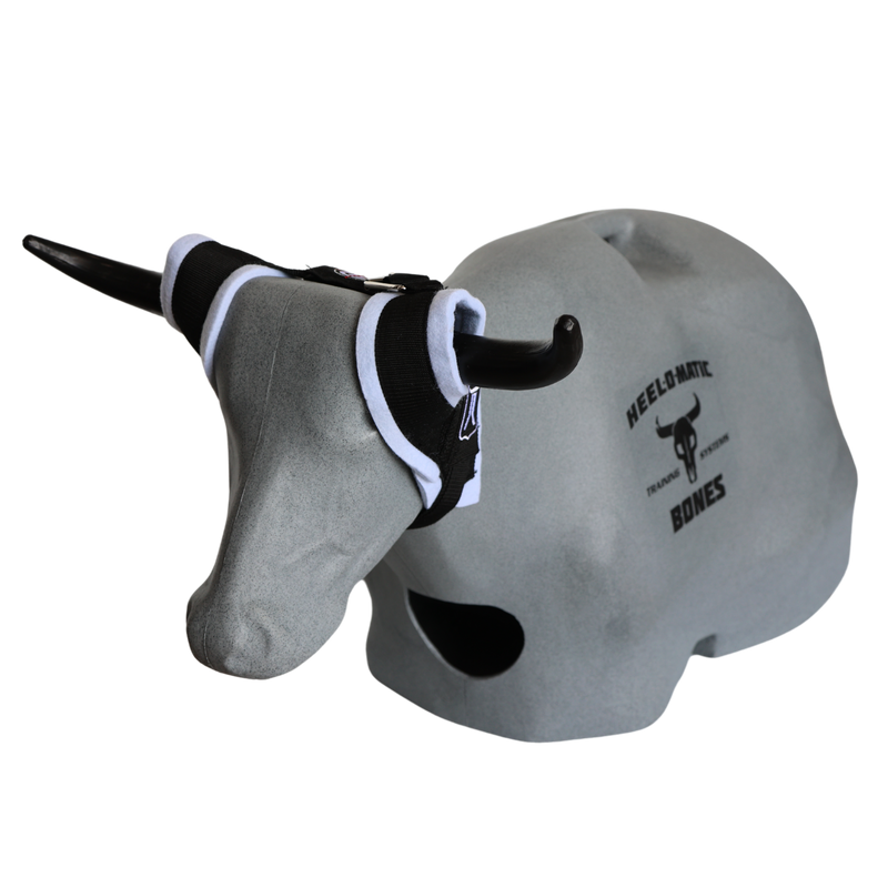 Load image into Gallery viewer, Smarty Rodeo | Bones
