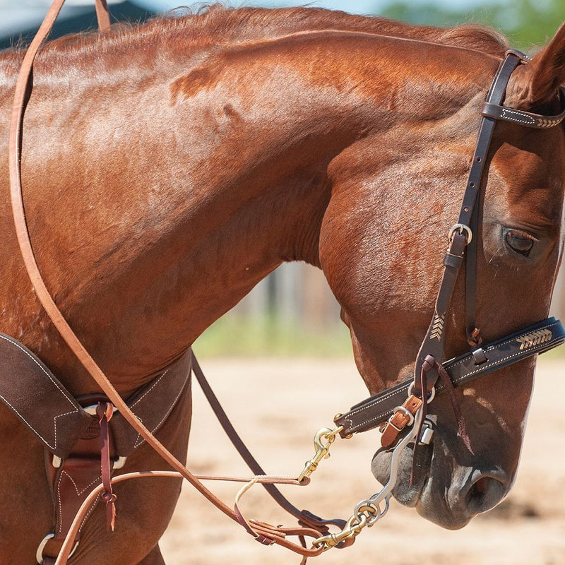Load image into Gallery viewer, Martin Flat Harness Roping Rein

