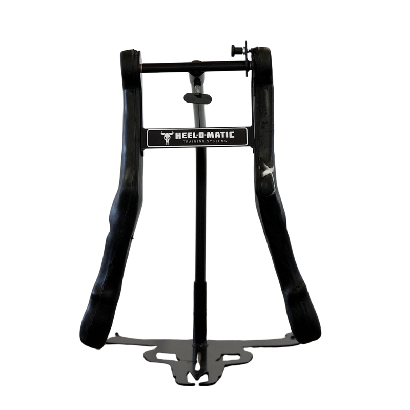 Load image into Gallery viewer, Smarty Rodeo | Hox
