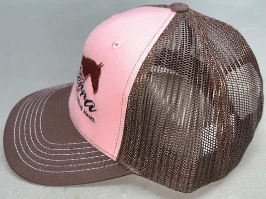 Zesterra Ball Cap - Pink/Brown