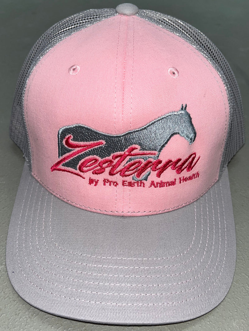 Load image into Gallery viewer, Zesterra Ball Cap - Pink/Silver
