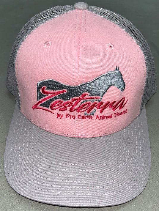 Zesterra Ball Cap - Pink/Silver