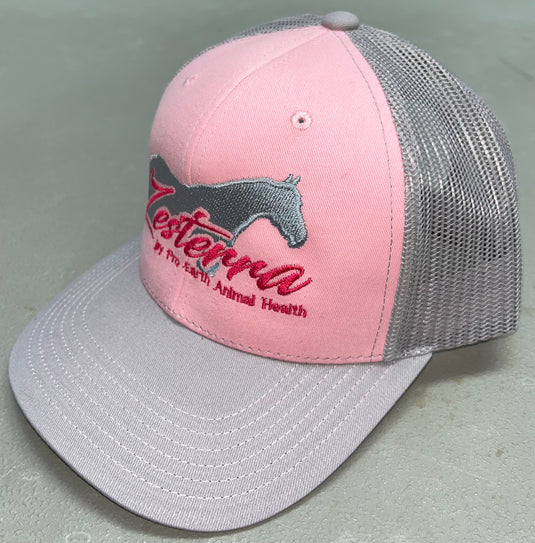 Zesterra Ball Cap - Pink/Silver