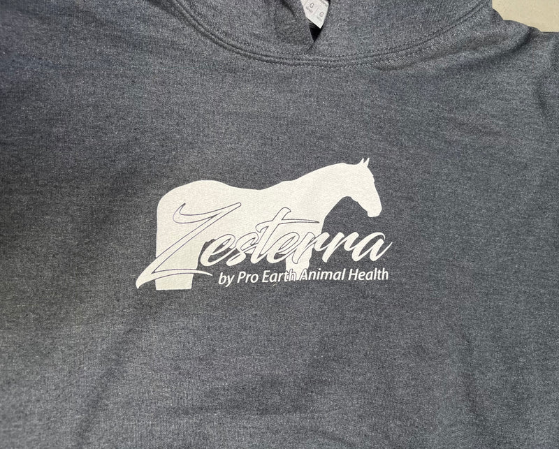Load image into Gallery viewer, Zesterra Youth Hoodie - Gray
