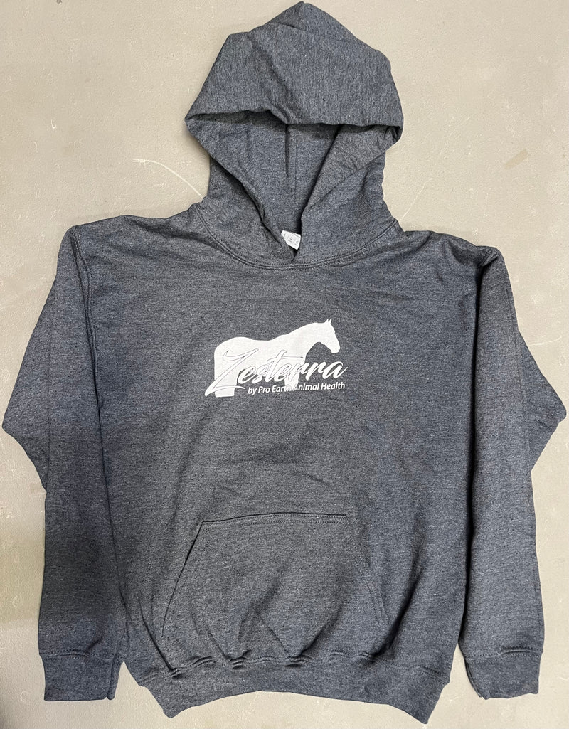 Load image into Gallery viewer, Zesterra Youth Hoodie - Gray
