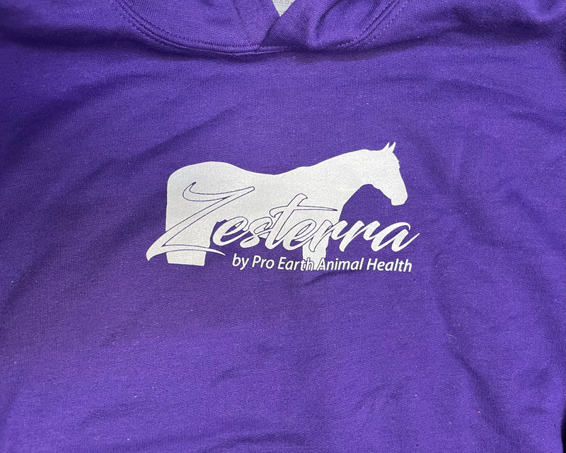 Load image into Gallery viewer, Zesterra Youth Hoodie - Purple
