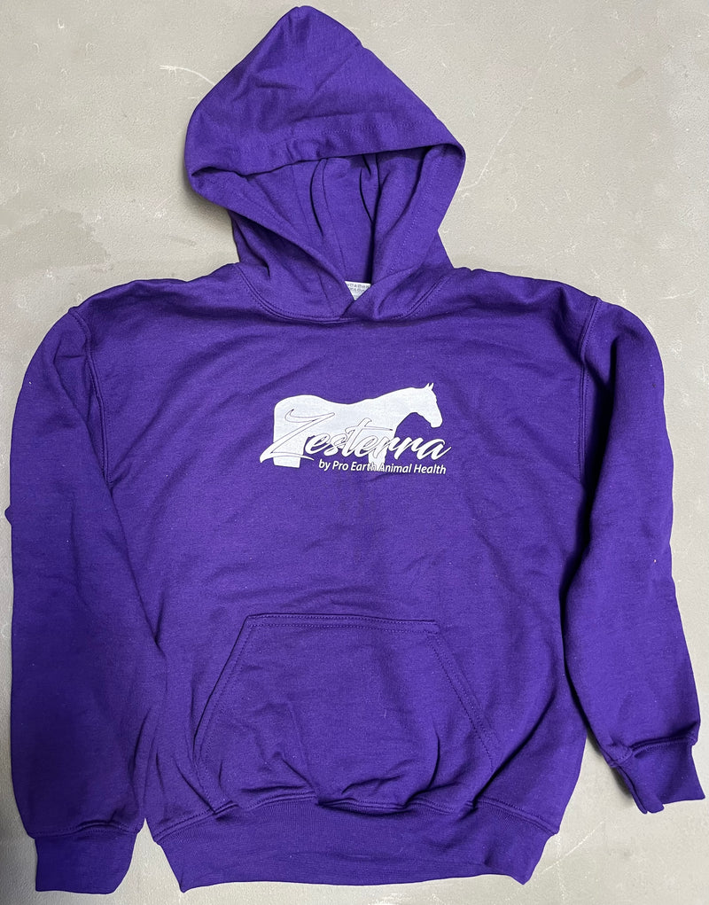 Load image into Gallery viewer, Zesterra Youth Hoodie - Purple
