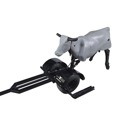 Smarty Rodeo | Trainer