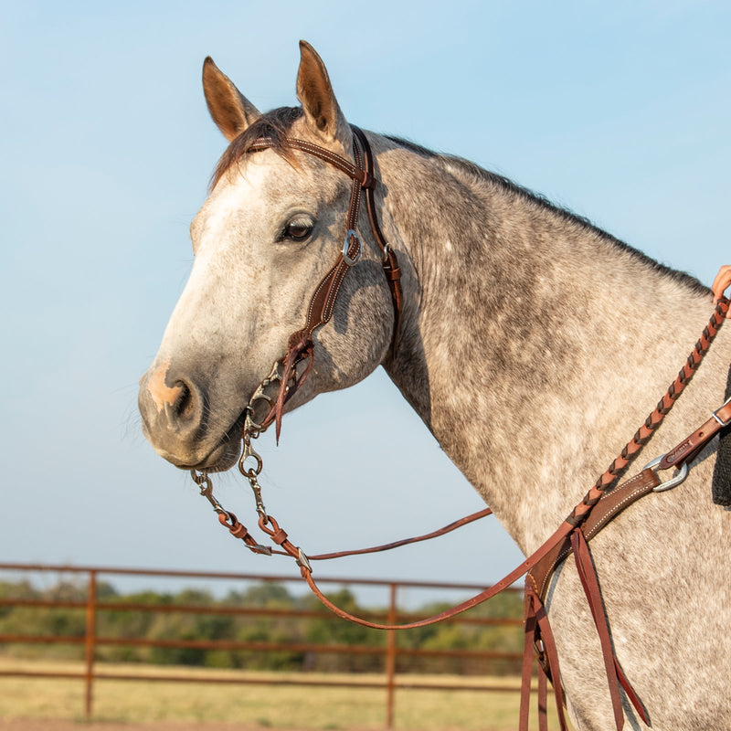 Load image into Gallery viewer, Classic Equine Sherry Cervi Diamond Short Shank II Twisted Wire Dogbone Bit
