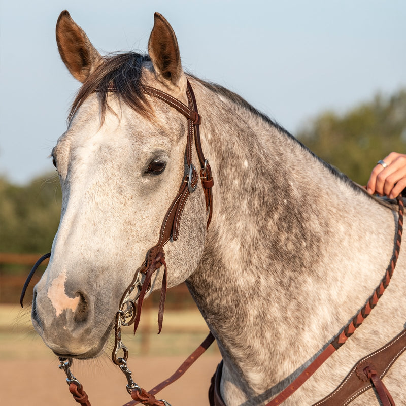 Load image into Gallery viewer, Classic Equine Sherry Cervi Diamond Short Shank Twisted Wire Dogbone Bit

