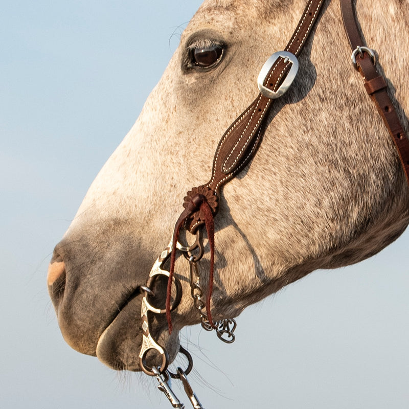 Load image into Gallery viewer, Classic Equine Sherry Cervi Diamond Short Shank O-Ring Square Snaffle Bit
