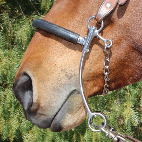 Load image into Gallery viewer, Professional's Choice Brittany Pozzi Short Hackamore Bit
