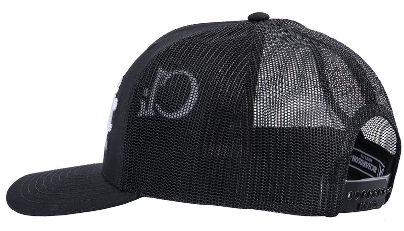 Load image into Gallery viewer, Classic Ropes Ball Cap - The Original Hat
