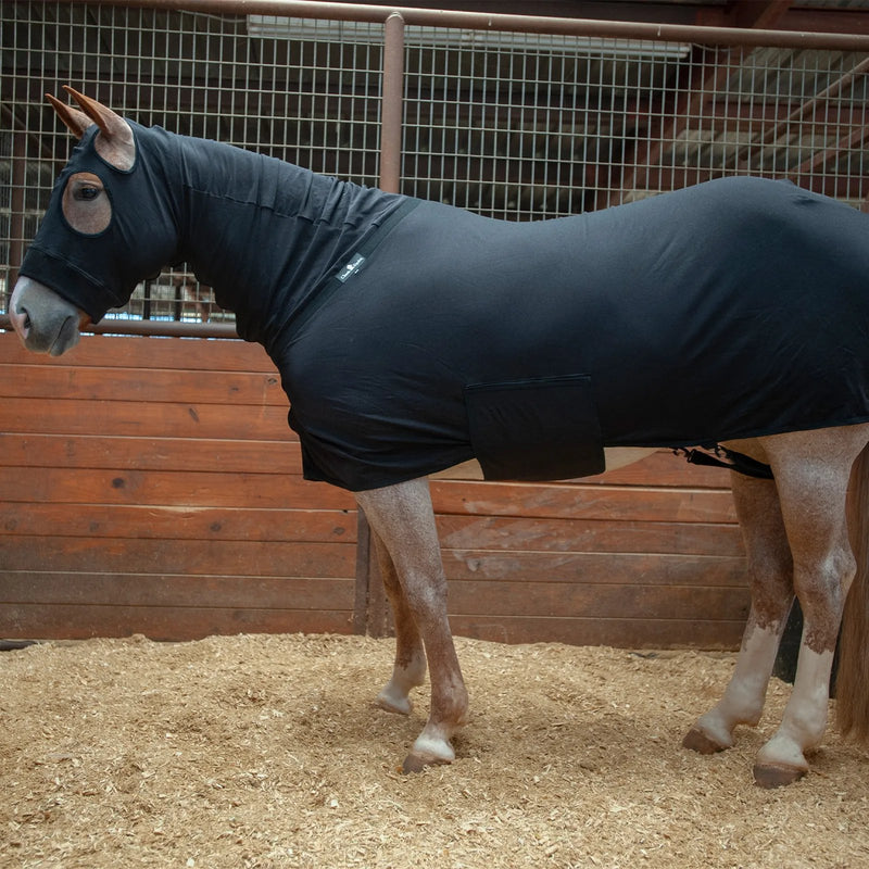 Load image into Gallery viewer, Classic Equine Full Body Slinky
