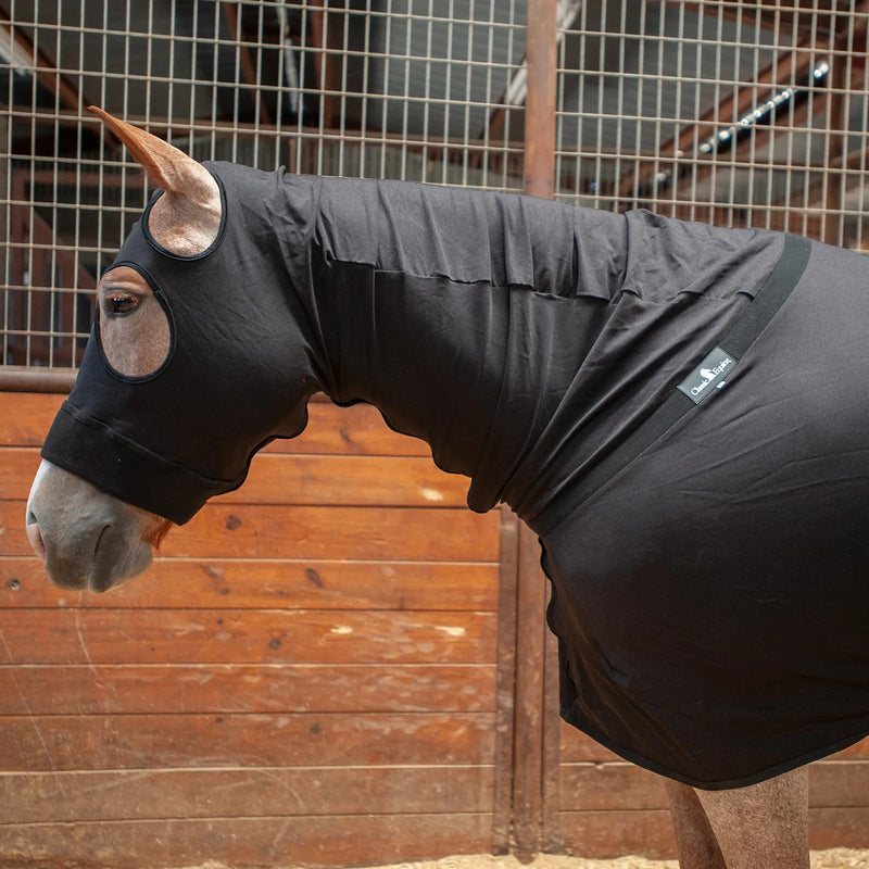 Load image into Gallery viewer, Classic Equine Full Body Slinky
