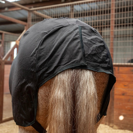 Classic Equine Full Body Slinky