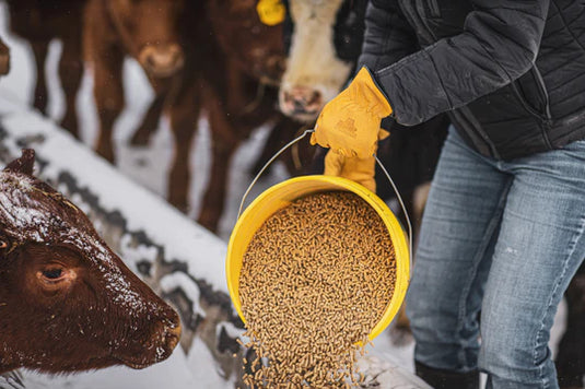 Bear Knuckles Double Wedge Thin Fleece-Lined Water Resistant Cowhide Driver Winter Glove