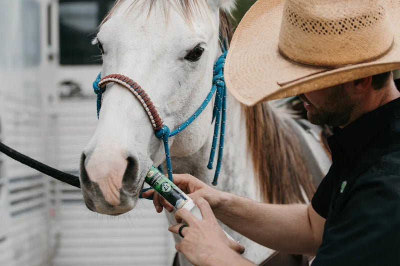 Load image into Gallery viewer, Silver Lining Colic Eaz for Horses
