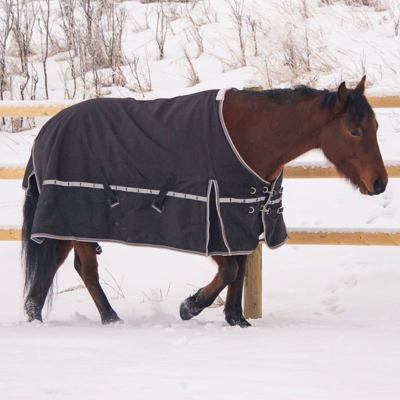 Load image into Gallery viewer, Classic Equine 10K Standard Cross Trainer Blanket
