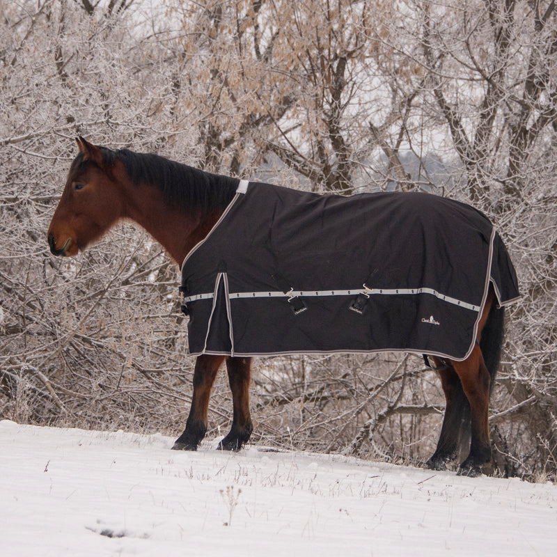 Load image into Gallery viewer, Classic Equine 10K Standard Cross Trainer Blanket
