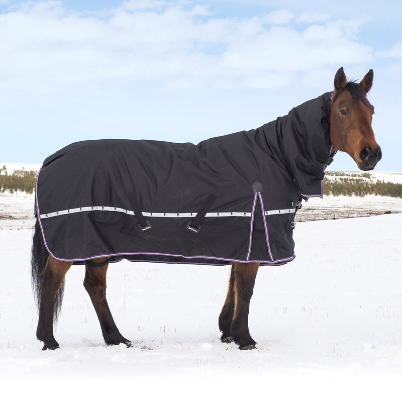 Load image into Gallery viewer, Classic Equine 10K Hooded Cross Trainer Blanket
