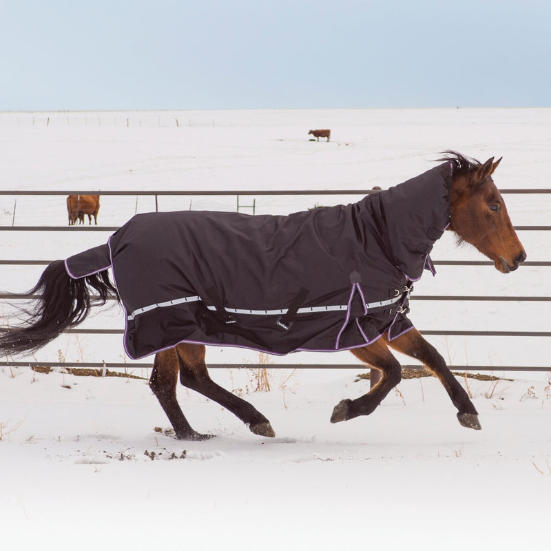 Load image into Gallery viewer, Classic Equine 10K Hooded Cross Trainer Blanket
