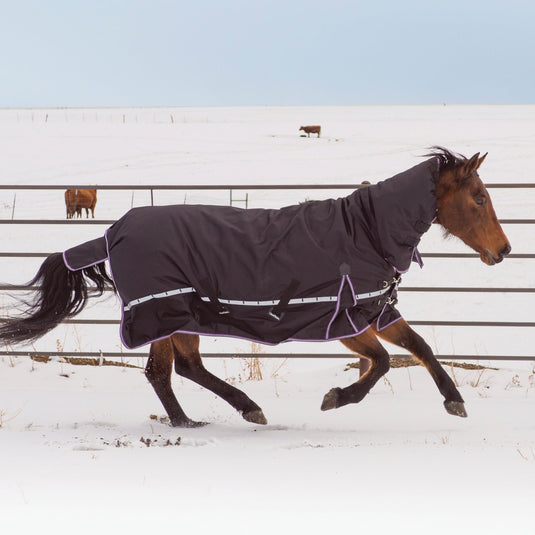 Classic Equine 10K Hooded Cross Trainer Blanket